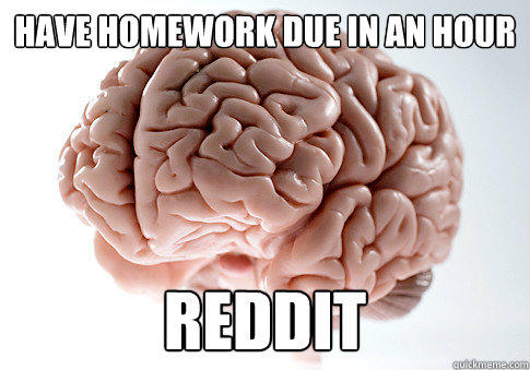 have homework due in an hour REDDIT - have homework due in an hour REDDIT  Scumbag Brain