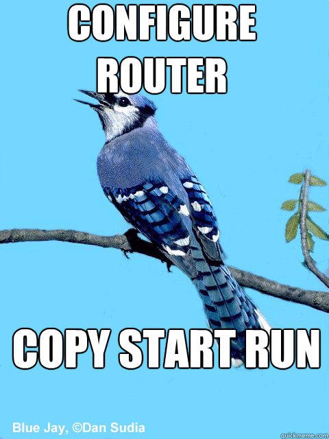 configure router copy start run  Blue Team Bird