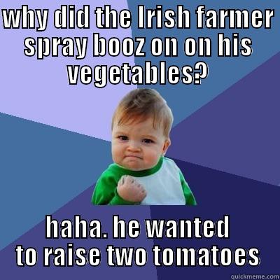 WHY DID THE IRISH FARMER SPRAY BOOZ ON ON HIS VEGETABLES? HAHA. HE WANTED TO RAISE TWO TOMATOES Success Kid