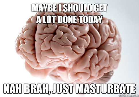 maybe i should get 
a lot done today nah brah, just masturbate  Scumbag Brain