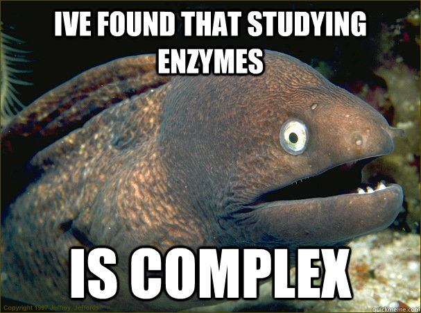 Ive found that studying enzymes is complex - Ive found that studying enzymes is complex  Bad Joke Eel