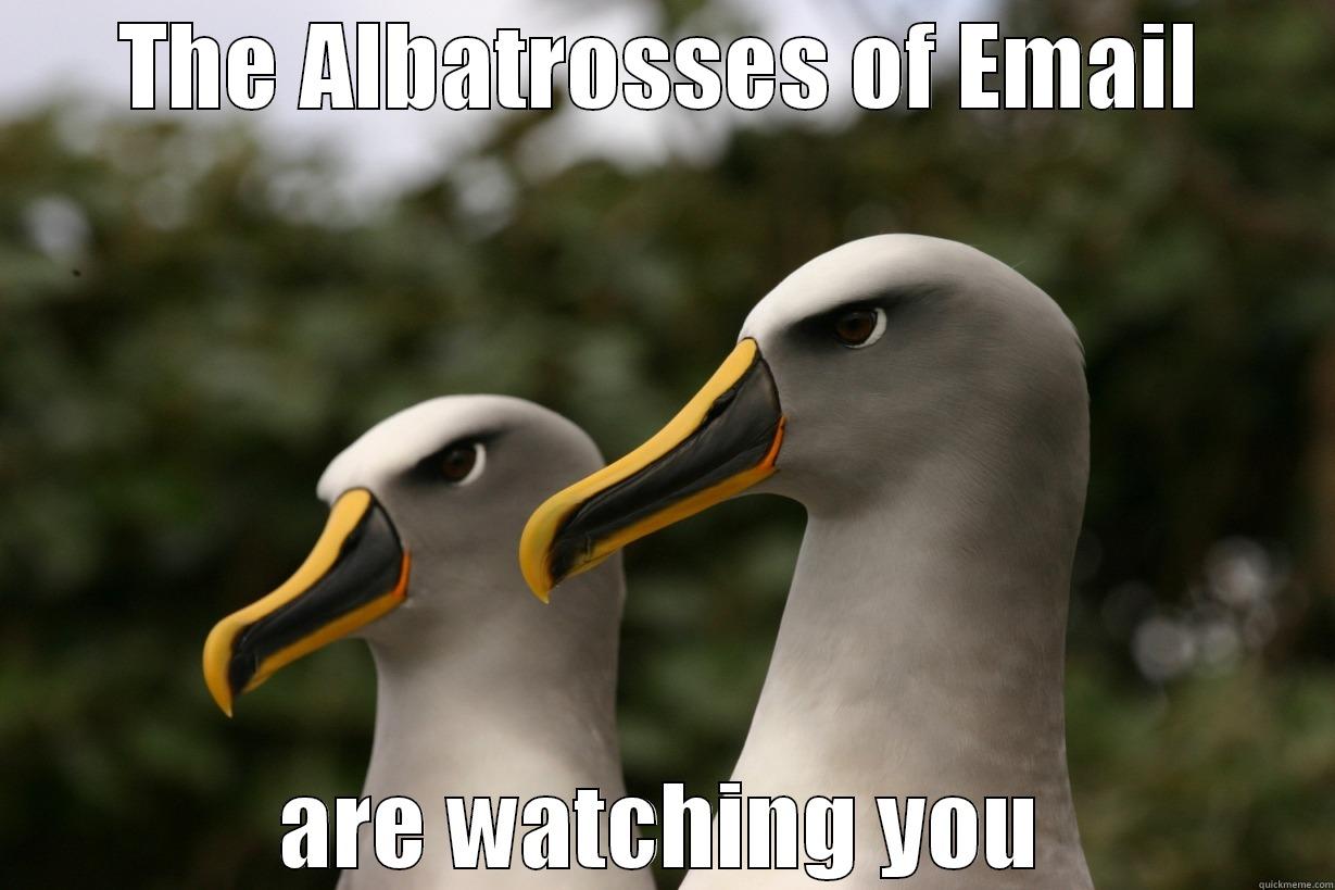 THE ALBATROSSES OF EMAIL ARE WATCHING YOU Misc