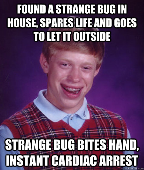 found a strange bug in house, spares life and goes to let it outside strange bug bites hand, instant cardiac arrest - found a strange bug in house, spares life and goes to let it outside strange bug bites hand, instant cardiac arrest  Bad Luck Brian