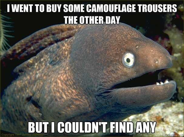 I went to buy some camouflage trousers the other day but I couldn't find any  Bad Joke Eel