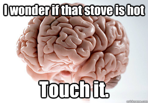 I wonder if that stove is hot Touch it.   Scumbag Brain