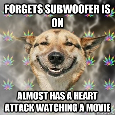 Forgets subwoofer is on Almost has a heart attack watching a movie  Stoner Dog