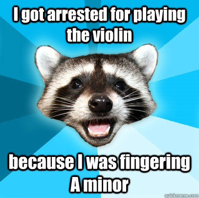 I got arrested for playing the violin because I was fingering A minor - I got arrested for playing the violin because I was fingering A minor  Lame Pun Coon