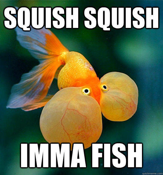 Squish Squish Imma Fish - Squish Squish Imma Fish  SquishSquish