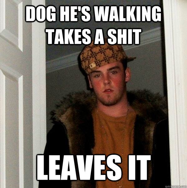 dog he's walking takes a shit leaves it - dog he's walking takes a shit leaves it  Scumbag Steve