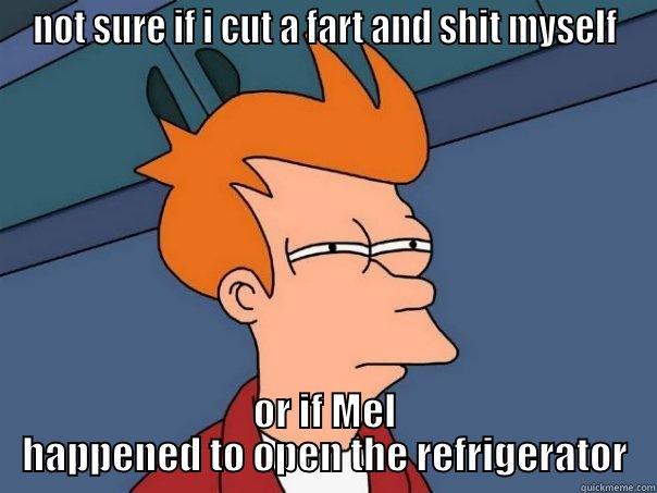 NOT SURE IF I CUT A FART AND SHIT MYSELF OR IF MEL HAPPENED TO OPEN THE REFRIGERATOR Futurama Fry