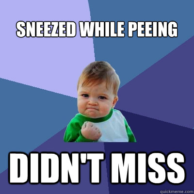 Sneezed while peeing didn't miss  Success Kid