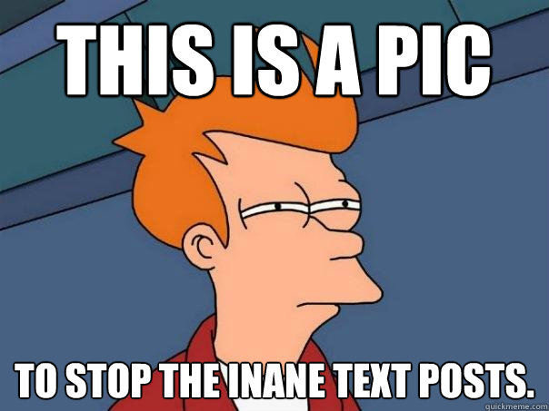 this is a pic to stop the inane text posts. - this is a pic to stop the inane text posts.  Futurama Fry