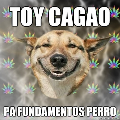 toy cagao pa fundamentos perro - toy cagao pa fundamentos perro  Stoner Dog