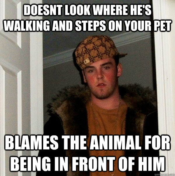 doesnt look where he's walking and steps on your pet blames the animal for being in front of him  Scumbag Steve