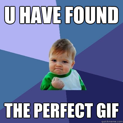 u have found the perfect gif - u have found the perfect gif  Success Kid