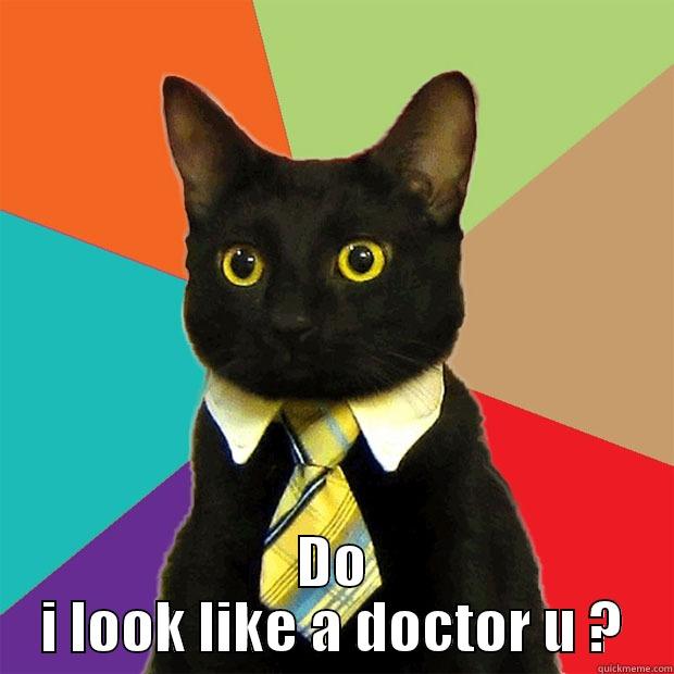 cat cate -  DO I LOOK LIKE A DOCTOR U ? Business Cat