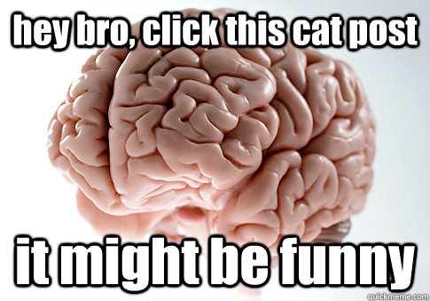 hey bro, click this cat post it might be funny  Scumbag Brain