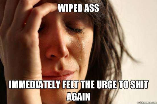 wiped ass immediately felt the urge to shit again  First World Problems