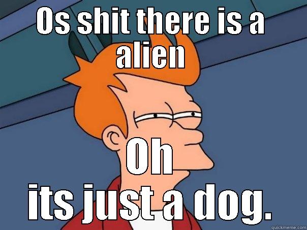 Alien  - OS SHIT THERE IS A ALIEN OH ITS JUST A DOG. Futurama Fry