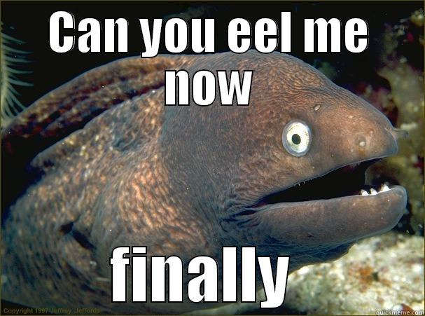 CAN YOU EEL ME NOW FINALLY  Bad Joke Eel