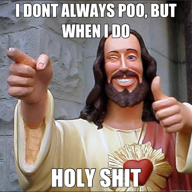 I DONT ALWAYS POO, BUT WHEN I DO HOLY SHIT  