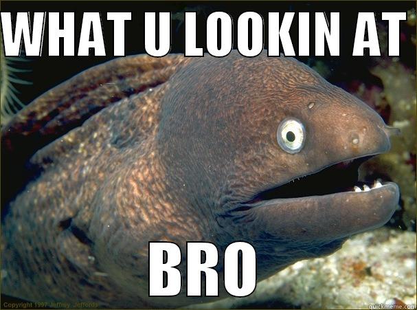 WHAT U LOOKIN AT  BRO Bad Joke Eel