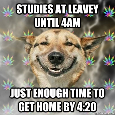 Studies at leavey until 4am just enough time to get home by 4:20  Stoner Dog