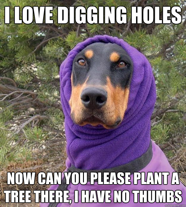 I love digging holes Now can you please plant a tree there, I have no thumbs  