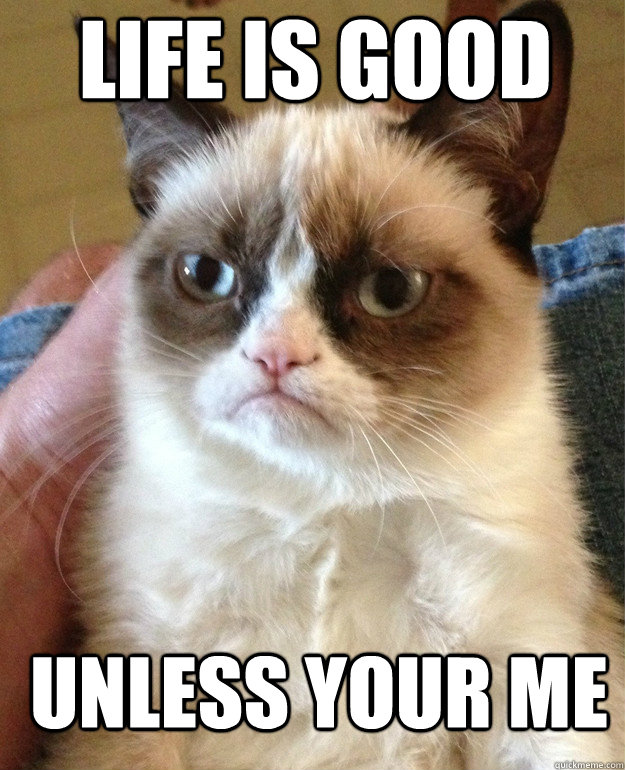 Life is good  unless your me   Grumpy Cat