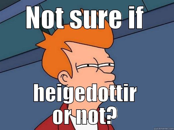 NOT SURE IF HEIGEDOTTIR OR NOT? Futurama Fry