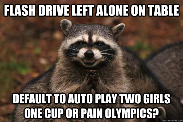 flash drive left alone on table  Default to auto play two girls one cup or pain Olympics?  Evil Plotting Raccoon