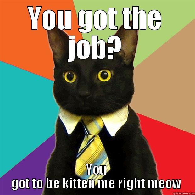 YOU GOT THE JOB? YOU GOT TO BE KITTEN ME RIGHT MEOW Business Cat