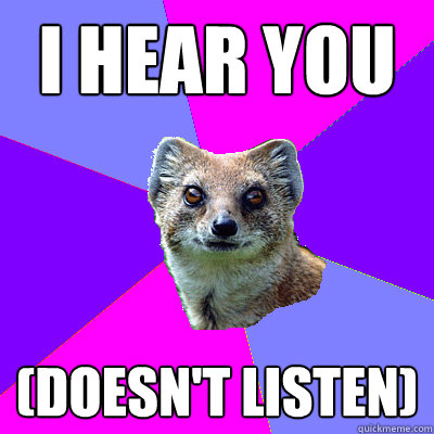 I hear you (Doesn't listen) - I hear you (Doesn't listen)  Stupid Boyfriend Mongoose