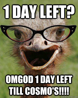 1 DAY LEFT? OMGOD 1 DAY LEFT TILL COSMO'S!!!!  Judgmental Bookseller Ostrich