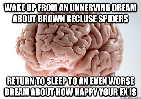 wake up from an unnerving dream about brown recluse spiders return to sleep to an even worse dream about how happy your ex is  Scumbag Brain