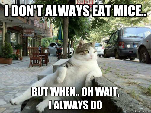 I don't always eat mice.. But when.. Oh wait,
I always do - I don't always eat mice.. But when.. Oh wait,
I always do  Misc