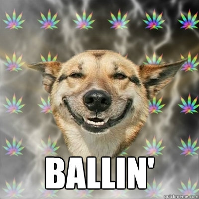  Ballin'  Stoner Dog