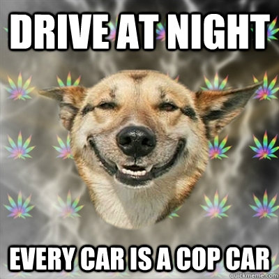 Drive at night Every car is a cop car  Stoner Dog