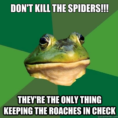 Don't kill the spiders!!! they're the only thing keeping the roaches in check - Don't kill the spiders!!! they're the only thing keeping the roaches in check  Foul Bachelor Frog