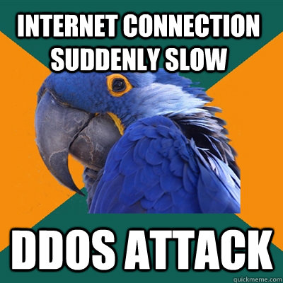 Internet Connection Suddenly Slow DDOS ATTACK - Internet Connection Suddenly Slow DDOS ATTACK  Paranoid Parrot