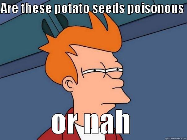 ARE THESE POTATO SEEDS POISONOUS  OR NAH Futurama Fry