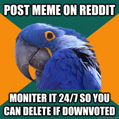 Post meme on reddit  moniter it 24/7 so you can delete if downvoted - Post meme on reddit  moniter it 24/7 so you can delete if downvoted  Paranoid Parrot