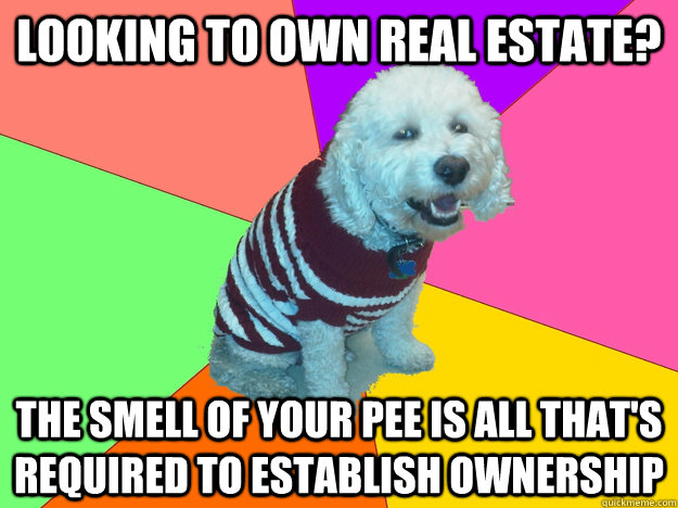 looking to own real estate? the smell of your pee is all that's required to establish ownership  