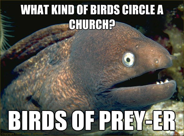 What kind of birds circle a church? birds of prey-er   Bad Joke Eel