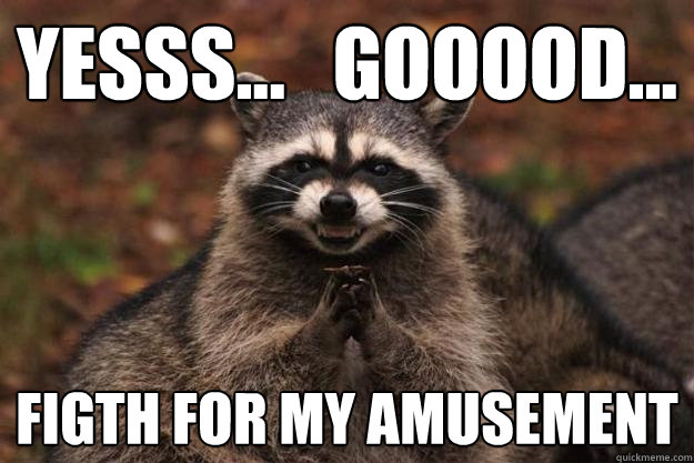 Yesss...   Gooood... Figth for my amusement  Evil Plotting Raccoon