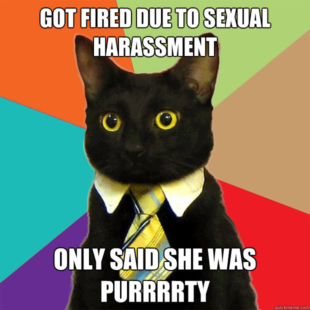 got fired due to sexual harassment only said she was purrrrty  Business Cat