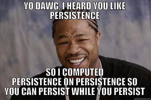 Persist this. - YO DAWG, I HEARD YOU LIKE PERSISTENCE SO I COMPUTED PERSISTENCE ON PERSISTENCE SO YOU CAN PERSIST WHILE YOU PERSIST Xzibit meme