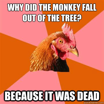 Why did the monkey fall out of the tree? Because it was dead - Why did the monkey fall out of the tree? Because it was dead  Anti-Joke Chicken