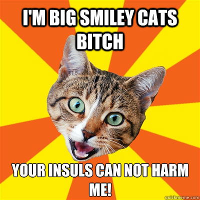 I'm big smiley cats bitch Your insuls can not harm me!  Bad Advice Cat