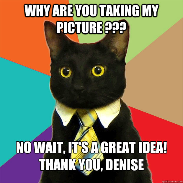 WHY ARE YOU TAKING MY PICTURE ??? no wait, IT'S A GREAT IDEA! Thank you, Denise  Business Cat